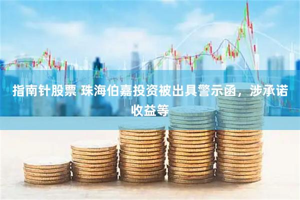 指南针股票 珠海伯嘉投资被出具警示函,涉承诺收益等