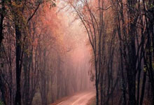 手机怎么买的股票:买股票开户在哪个app上-一则传闻 直线封板！浙江荣泰回应：无法确认准确性